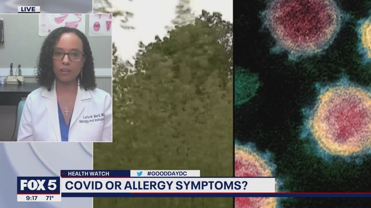 COVID or allergy symptoms? Immunology specialist weighs in